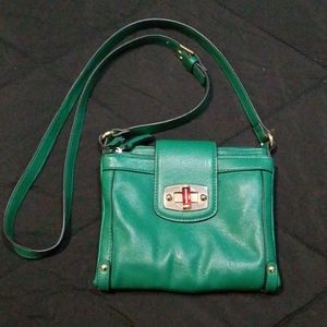 Green and gold purse